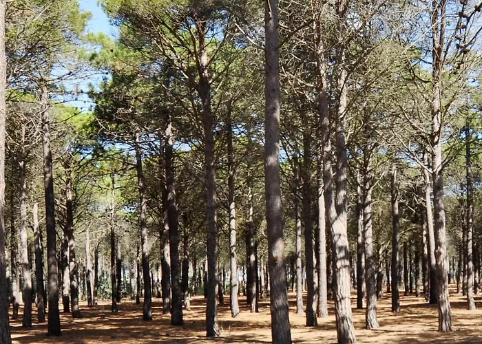 Lejlighed Plain-pied Pres Du Lydia - Patio, Wifi & Parking